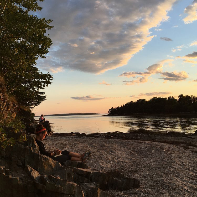 Rippleeffect (Consulting)