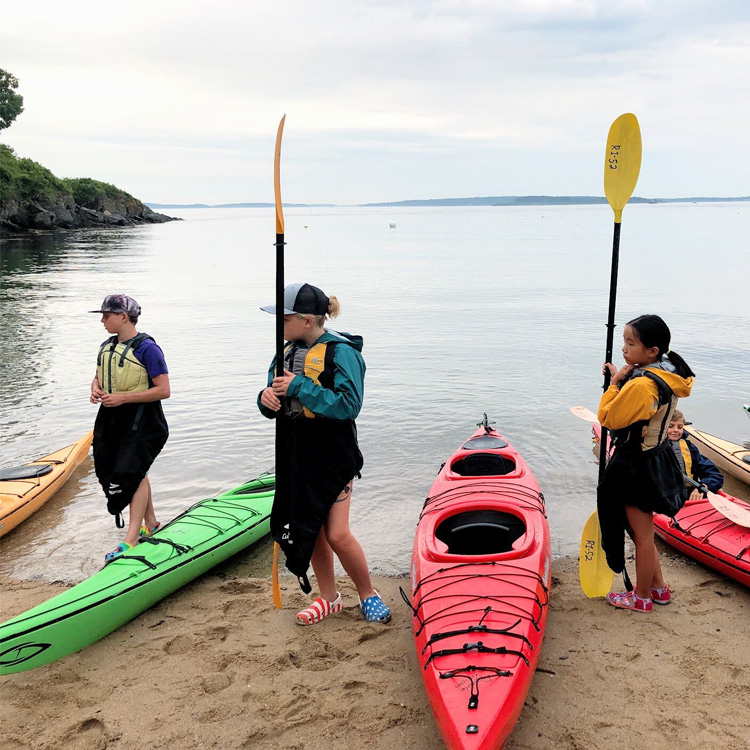 Rippleeffect (Consulting)